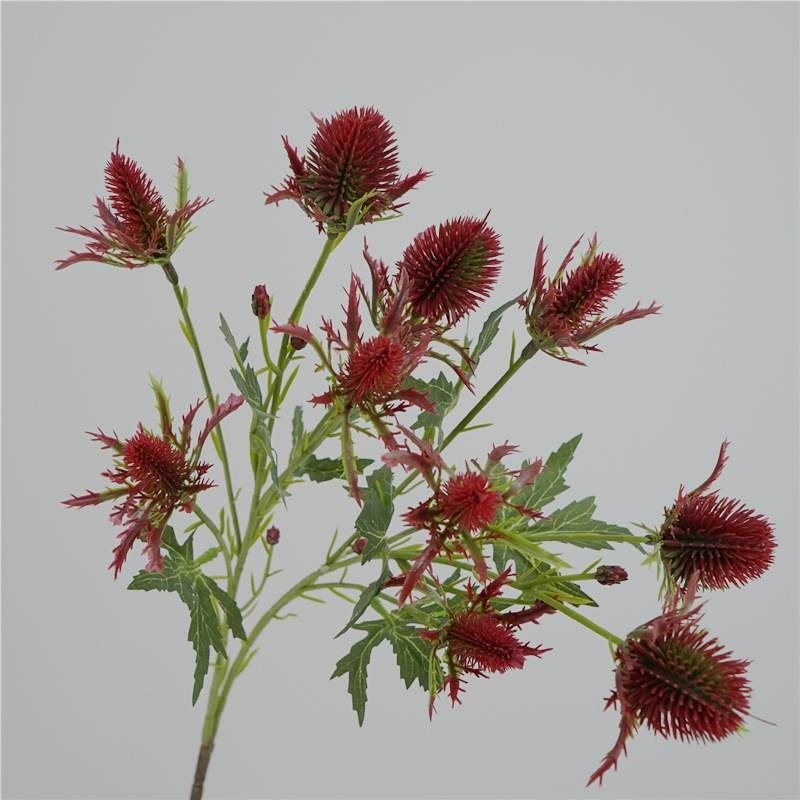 Fake Eryngium