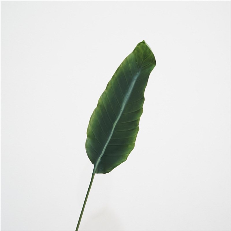 Simulated Bird of Paradise Leaves