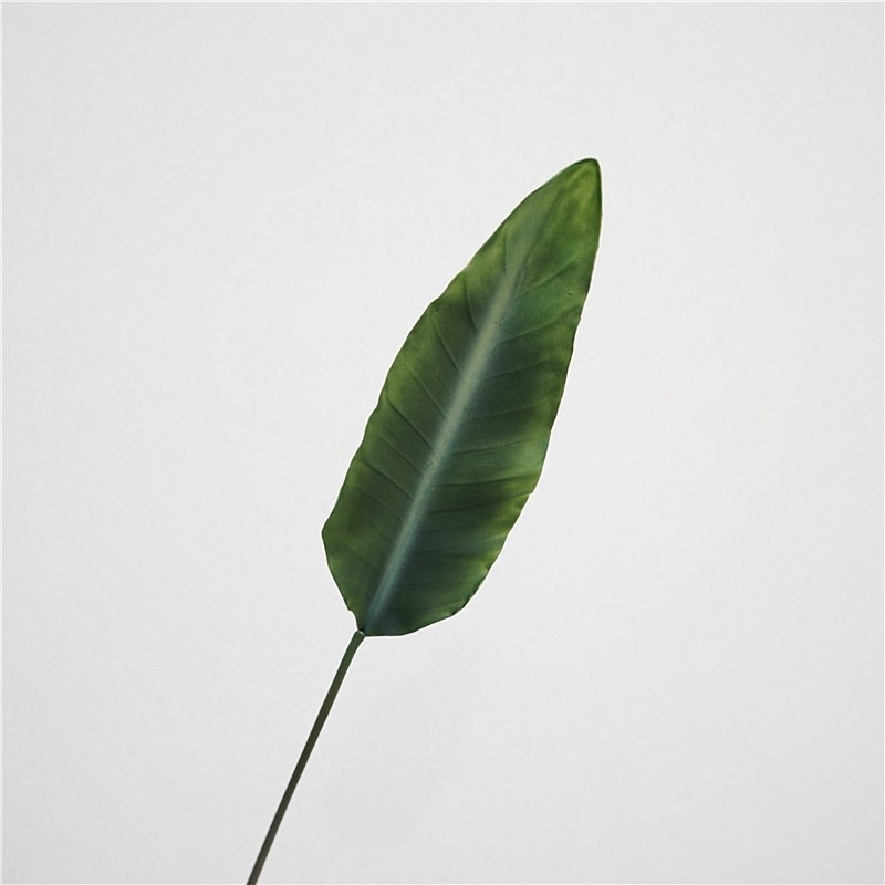 Simulated Bird of Paradise Leaves