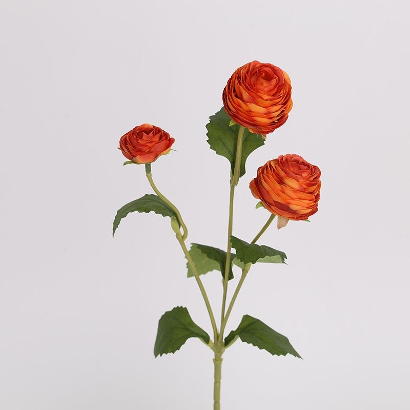 False Moisturizing Ranunculus
