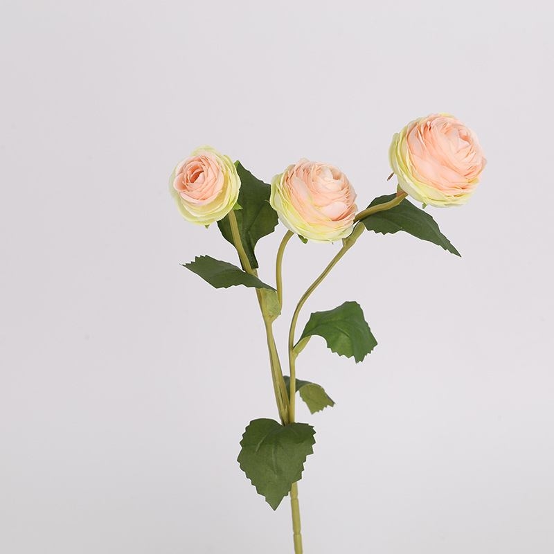 False Moisturizing Ranunculus