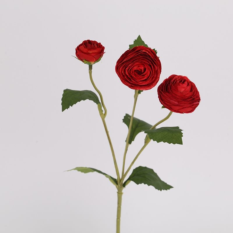 False Moisturizing Ranunculus