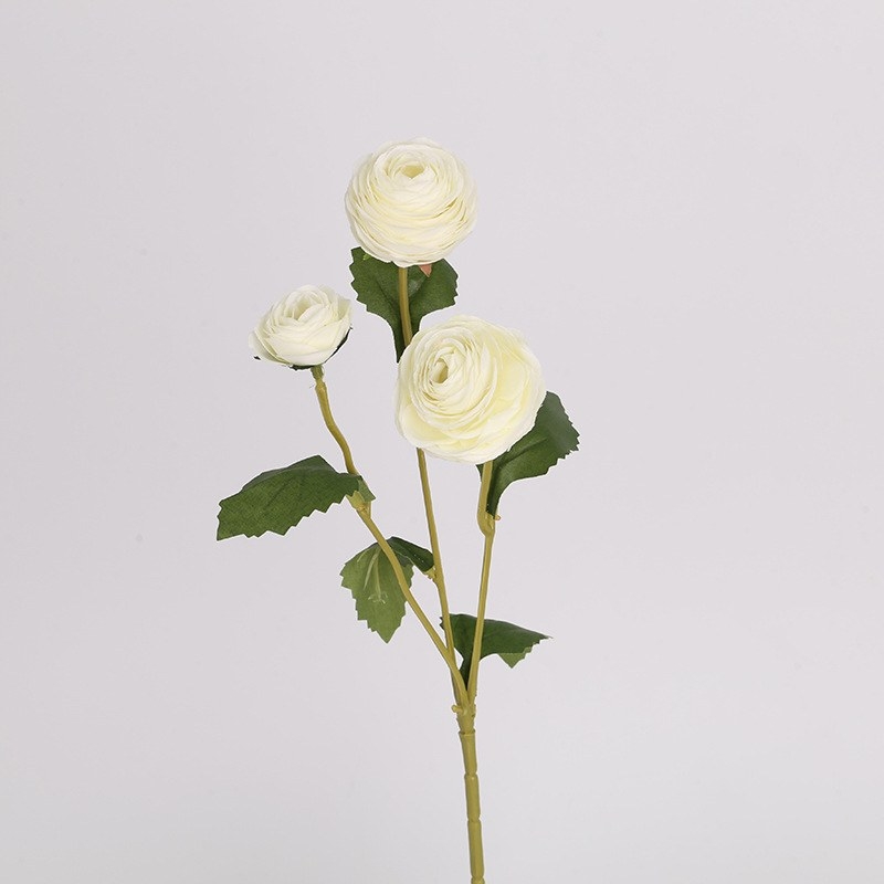 False Moisturizing Ranunculus