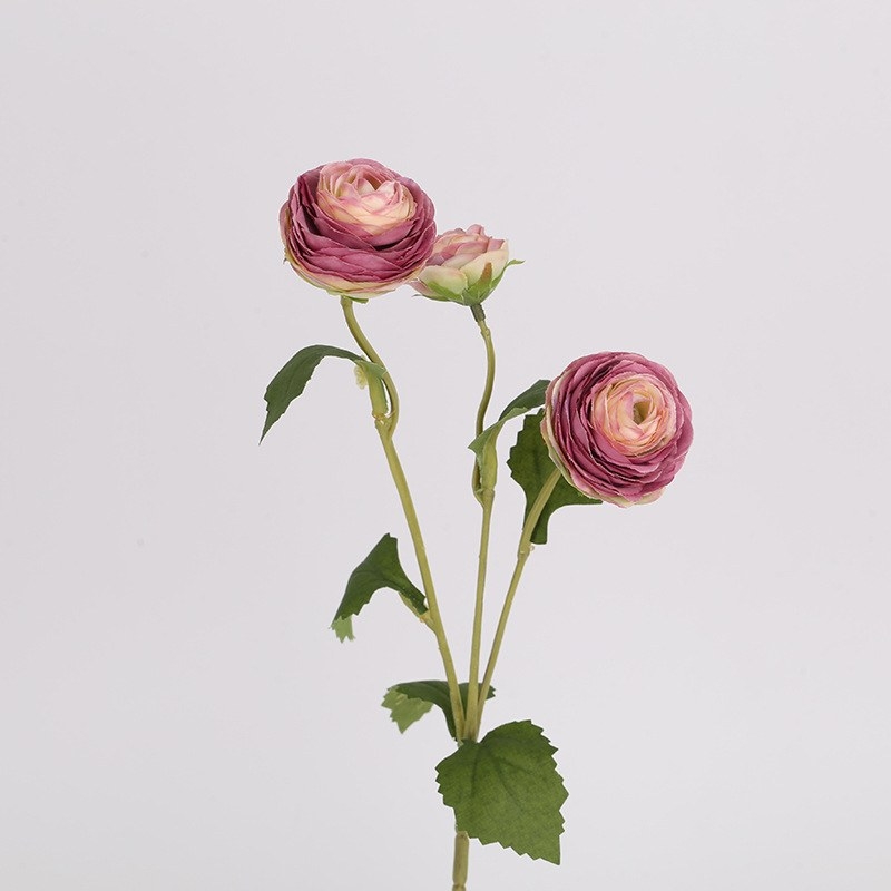 False Moisturizing Ranunculus