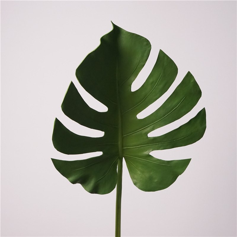 Simulted  Monstera Leaf