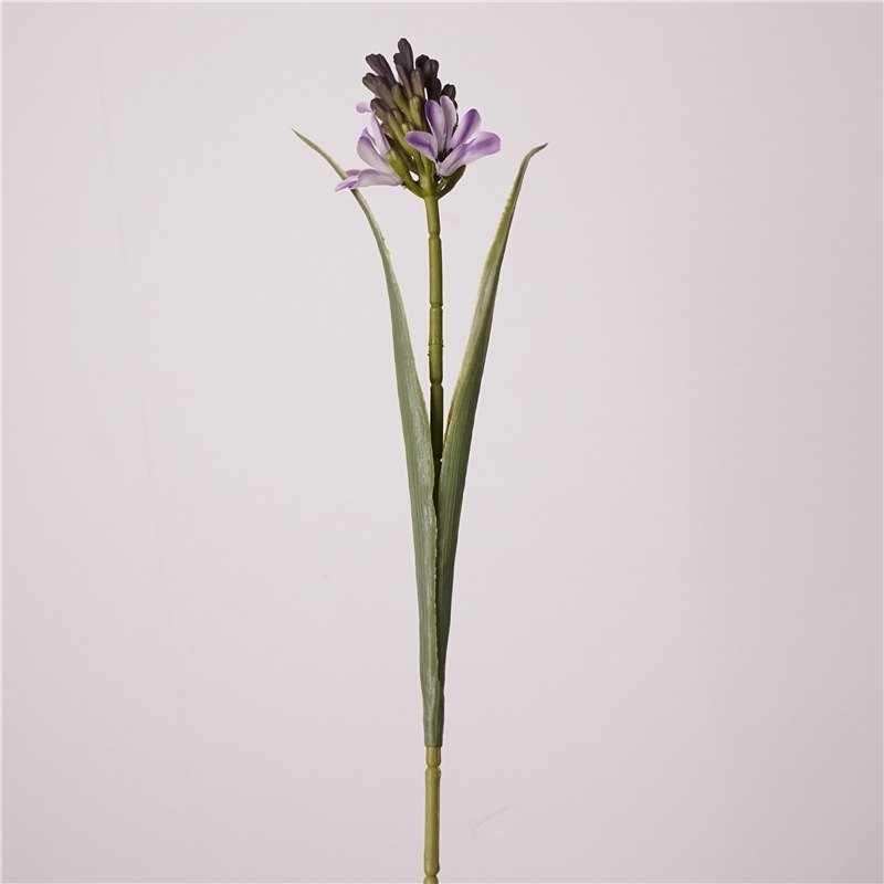 Simulated Hyacinth