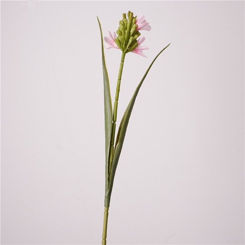 Simulated Hyacinth