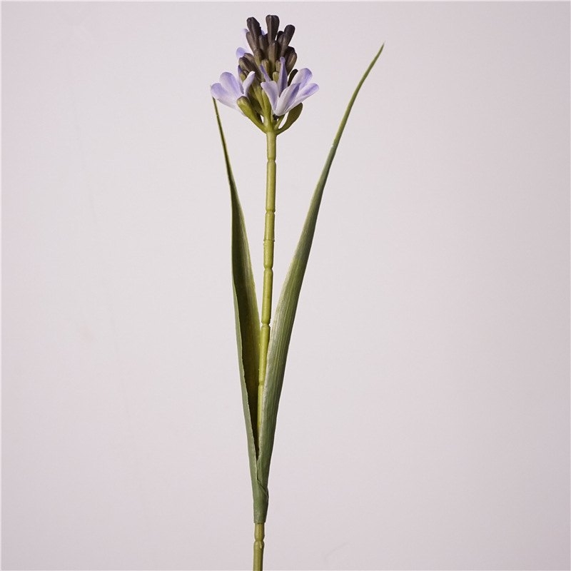 Simulated Hyacinth