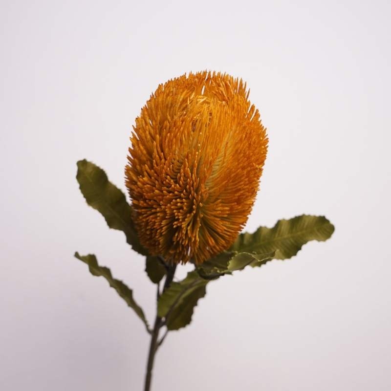 Artificial Banksia