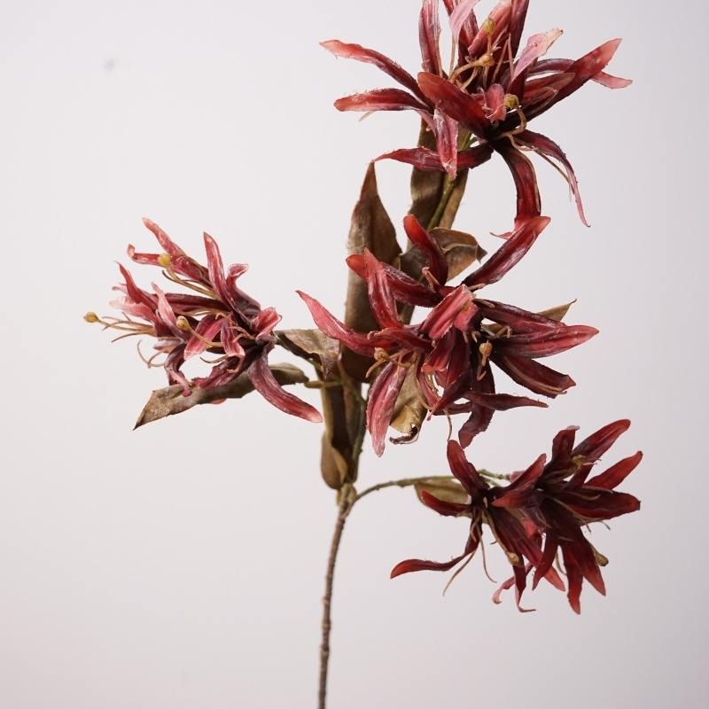 Artificial Bauhinia