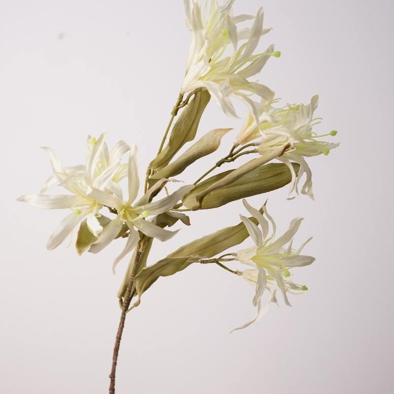 Artificial Bauhinia