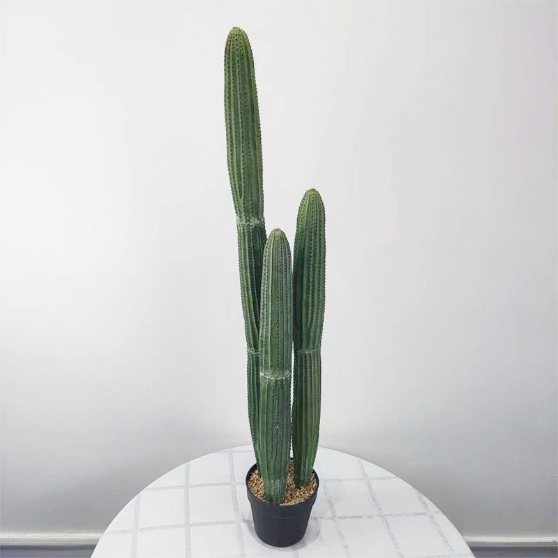 Simulated bonsai containing three cacti