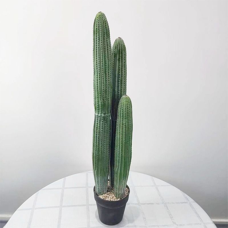 Simulated bonsai containing three cacti