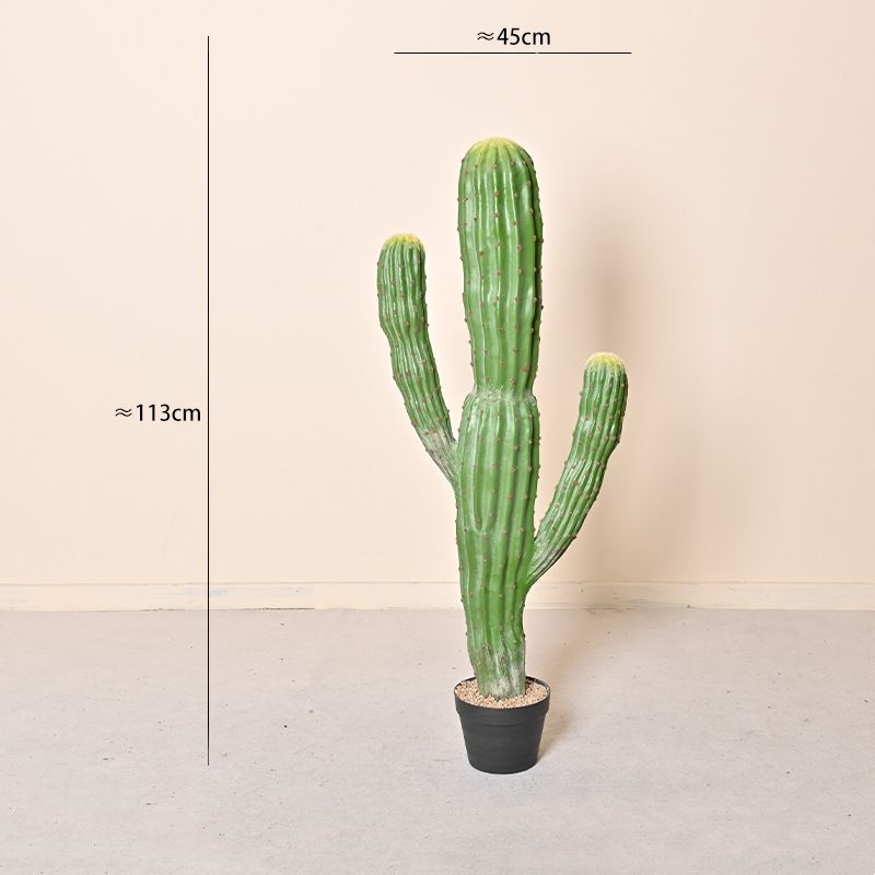 Simulated cylindrical Moroccan cactus with three branches