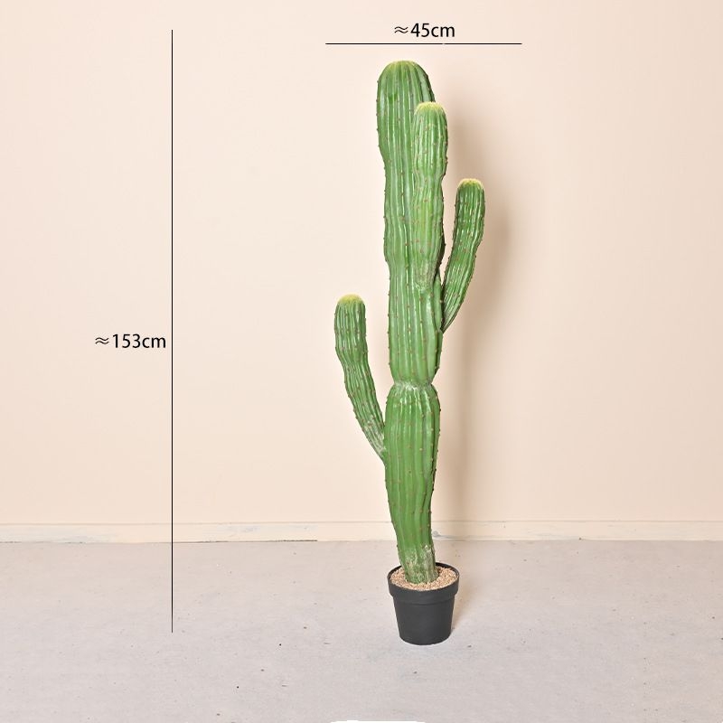 Simulated cylindrical Moroccan cactus with three branches