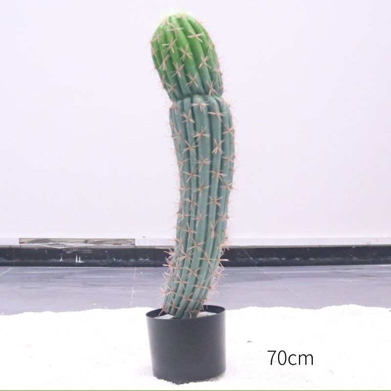 Simulated Mexican cylindrical cactus