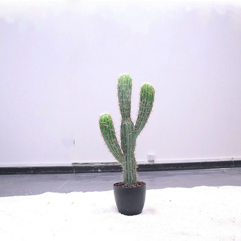 Simulated Mexican cylindrical cactus with three branches