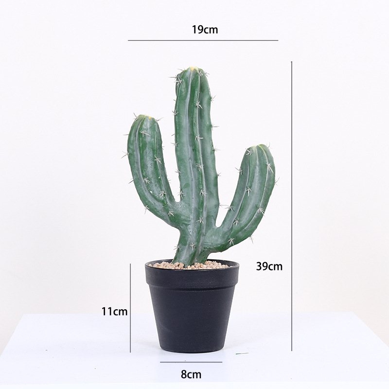 Faux Myrtillocactus geometrizans