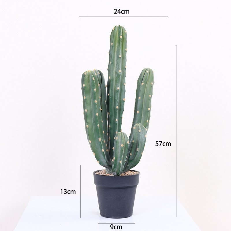Faux Myrtillocactus geometrizans