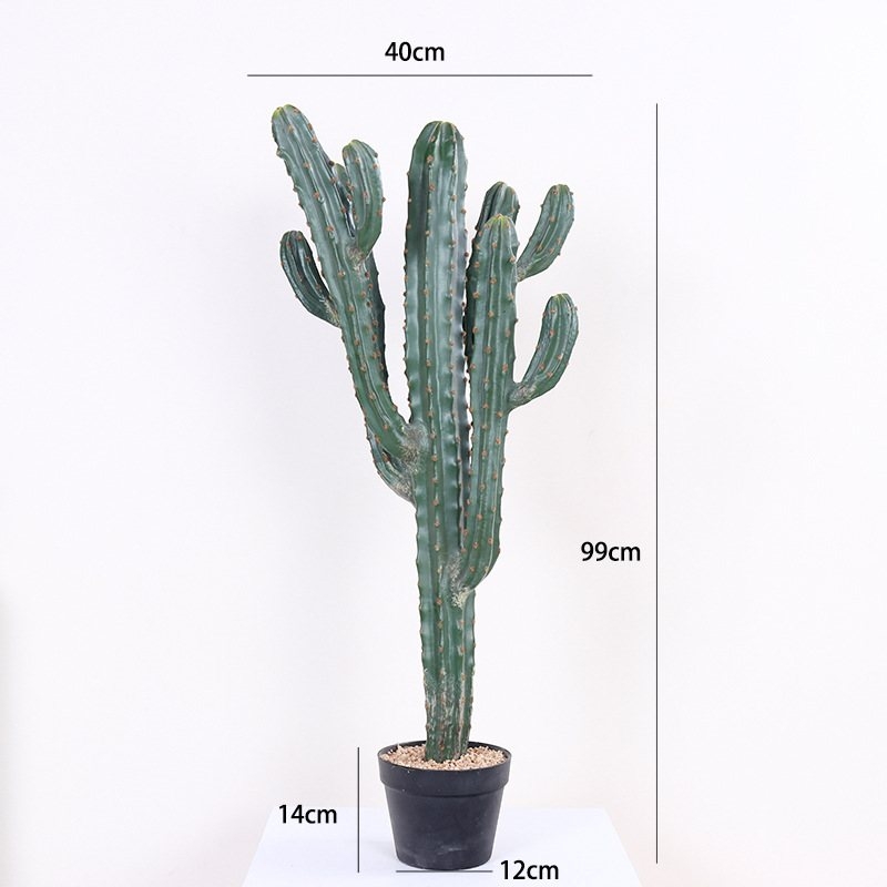 Faux Myrtillocactus geometrizans