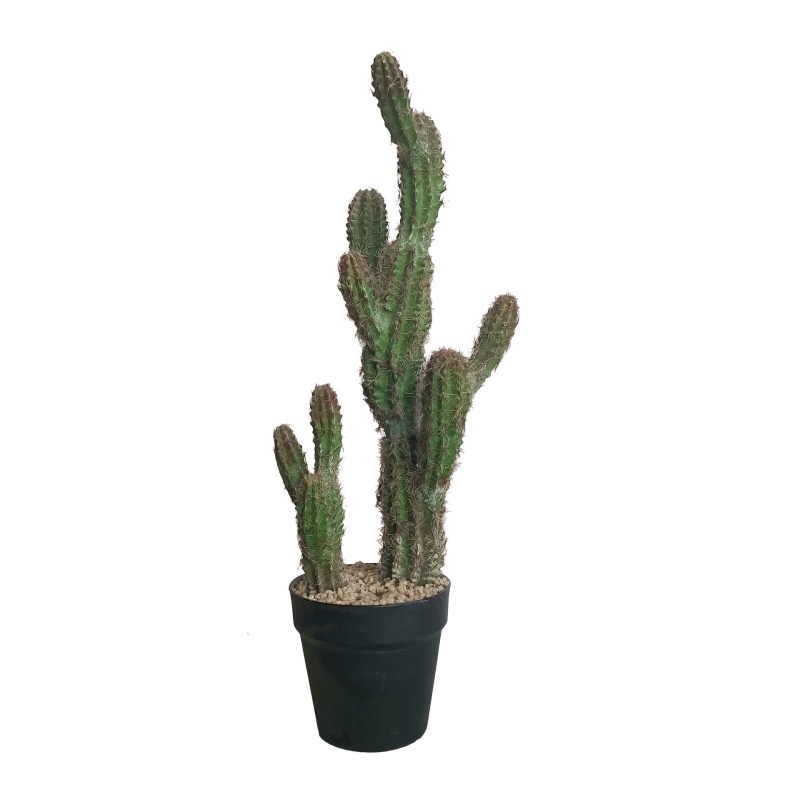 Artificial Spiny Clustered Cactus