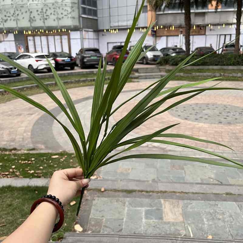 Artificial Wide Leaf Chlorophytum Bunch