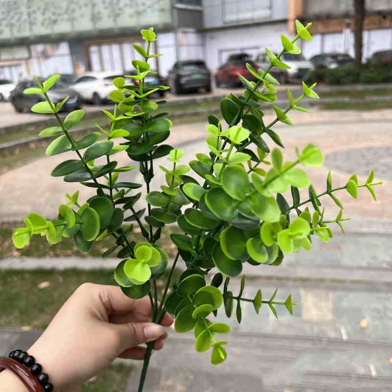 Simulation Round Leaf Eucalyptus