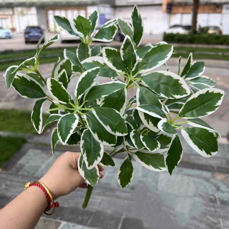 Simulated Schefflera Leaf