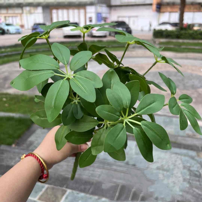 Simulated Schefflera Leaf