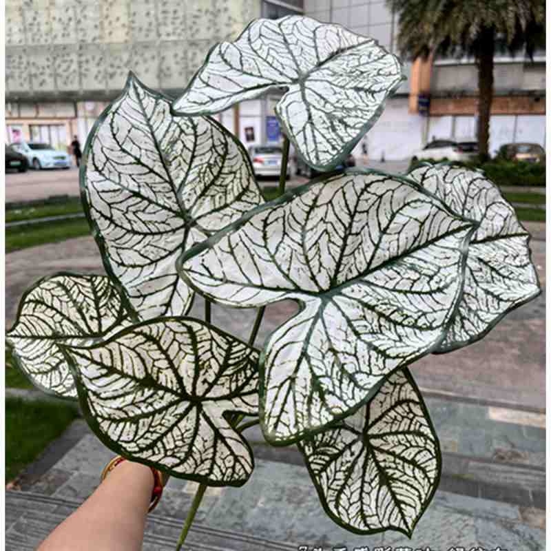 Artificial White Christmas Caladium Bunch