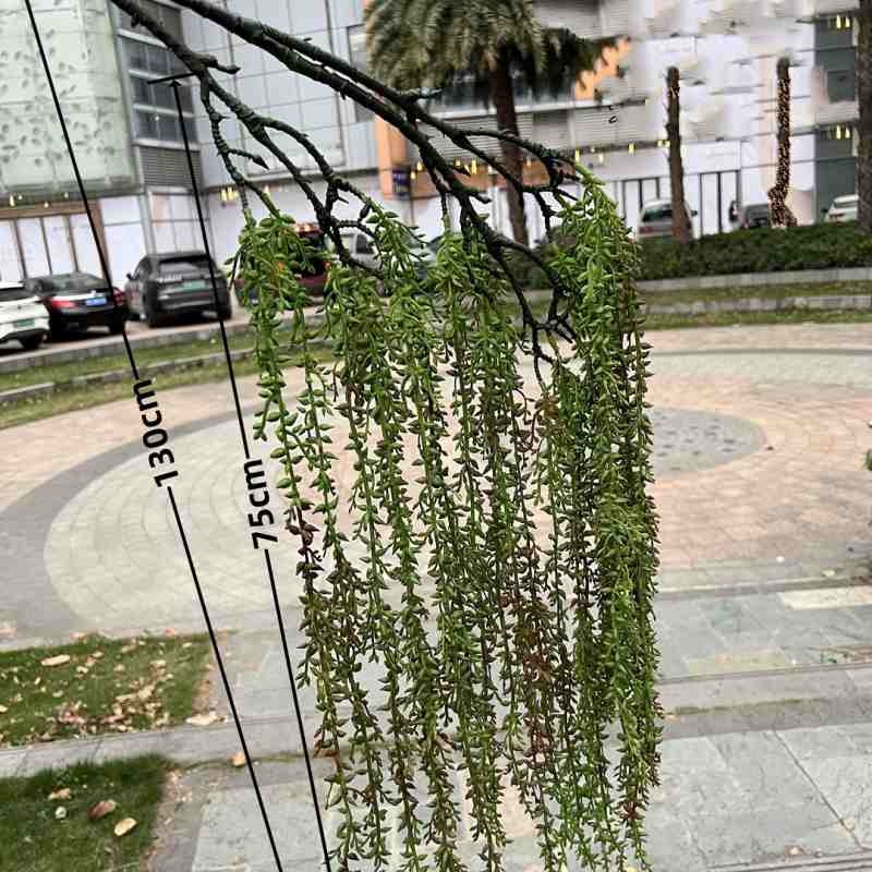 Artificial Hanging String of Pearls Branch