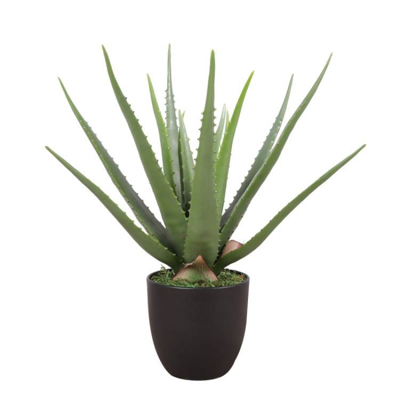 Artificial 35cm - 70cm aloe vera potted plants