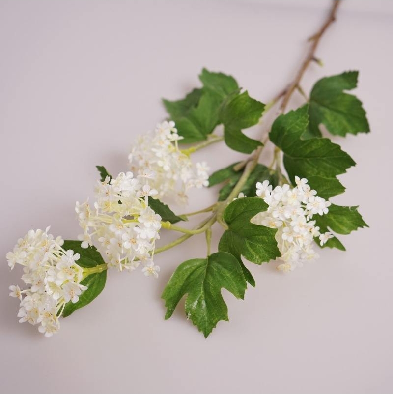 A snowball-shaped flower with four blossoms