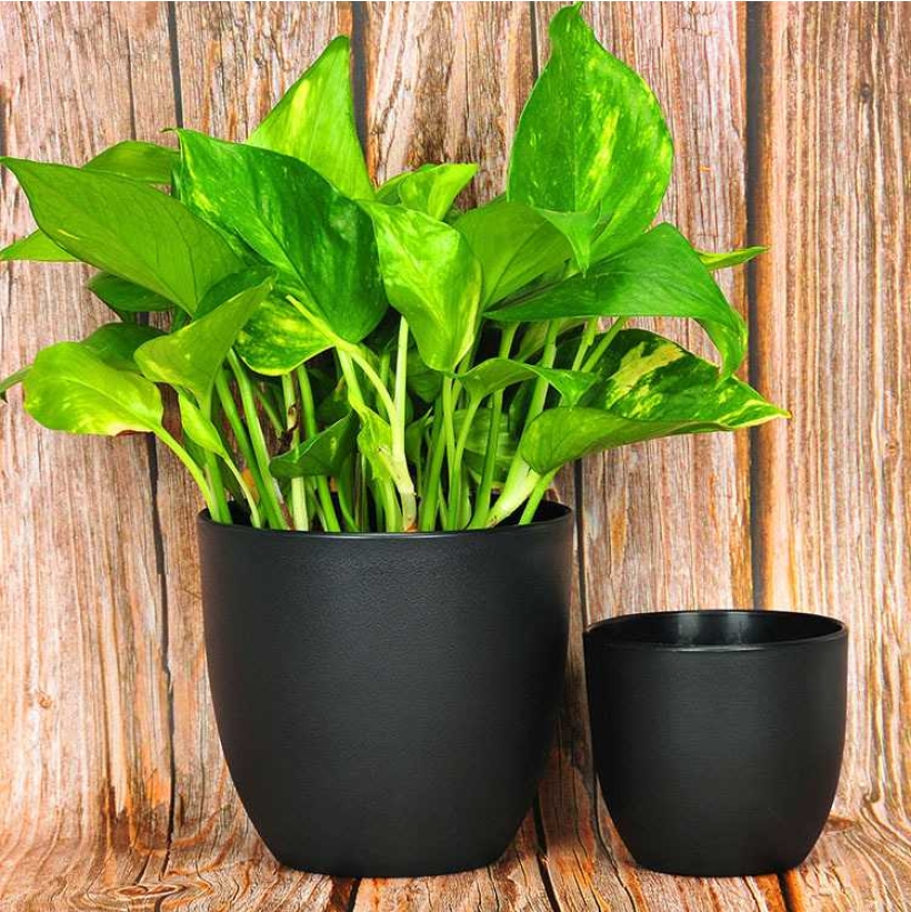 2.75 inch to 9.5 inch wholesale plastic flower pots