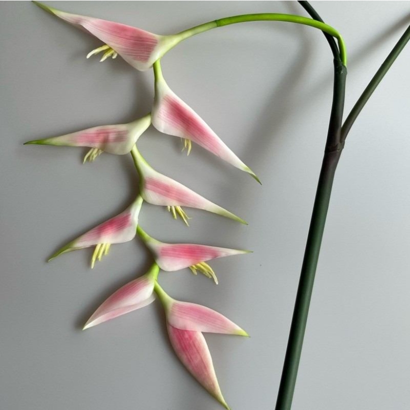 Artificial Hanging Heliconia